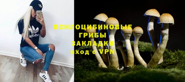ПСИЛОЦИБИНОВЫЕ ГРИБЫ Абинск