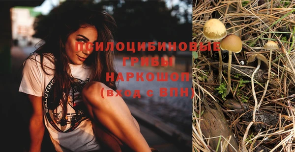 ПСИЛОЦИБИНОВЫЕ ГРИБЫ Абинск