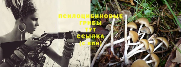 ПСИЛОЦИБИНОВЫЕ ГРИБЫ Абинск