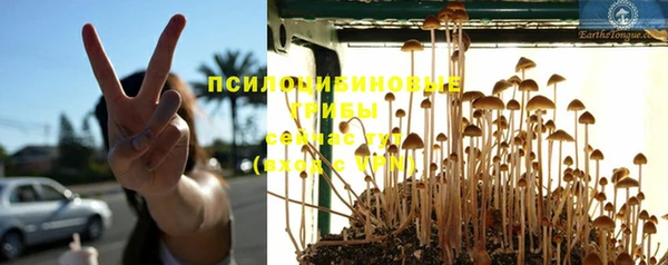 синтетический гашиш Осташков
