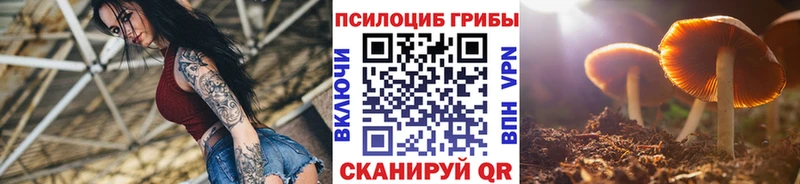 Галлюциногенные грибы Magic Shrooms  Фрязино 